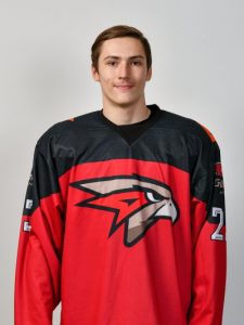 Заикин Андрей Александрович. Путь к звездному мастерству на ледовом поле