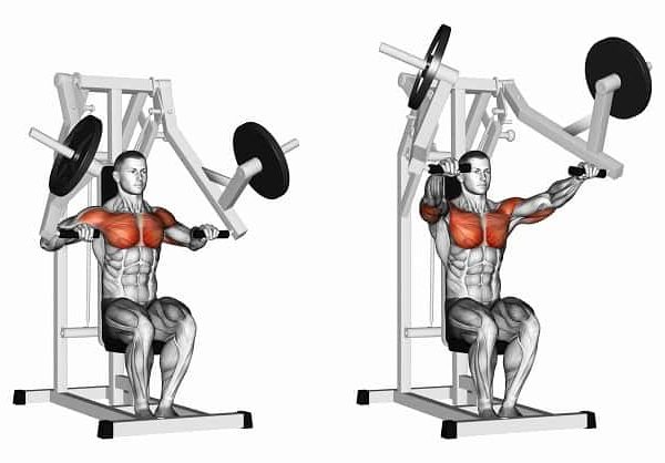 Лучшие упражнения для грудных мышц в тренажерном зале