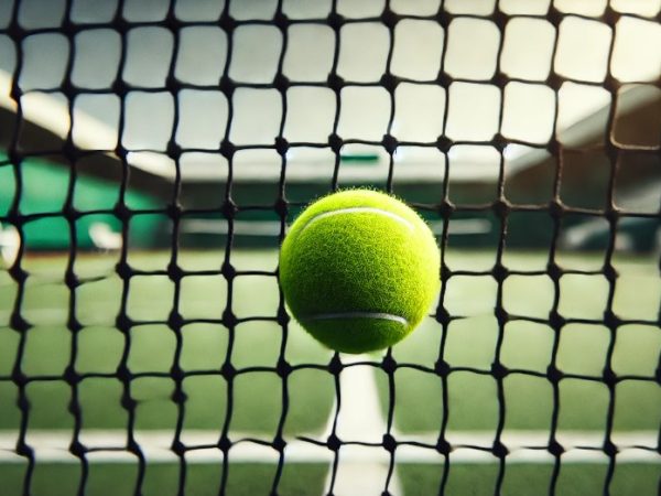 Сетки для большого тенниса: характеристики и выбор для эффективной игры