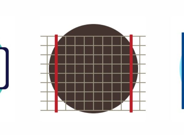 Оборудование для спортивного зала: от базового до профессионального