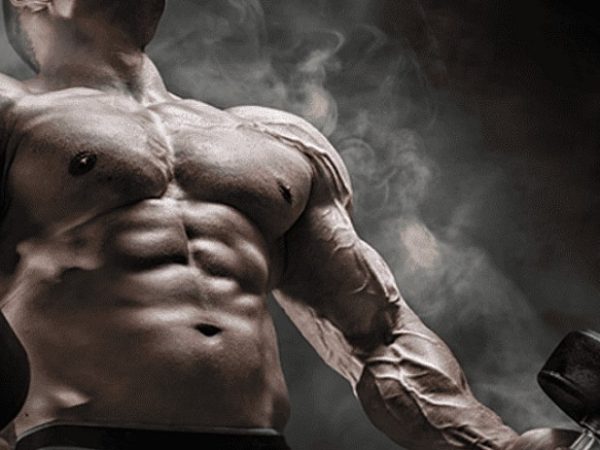 Лигандрол: мощный SARM для роста мышечной массы