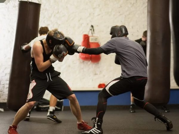 Тренировки по боксу: с чего начать новичку и как не бросить